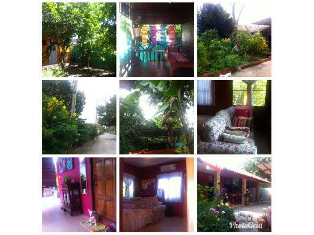 บ้านวินเทจบ้านสวนไม้ไทยดอกหอมร่มรื่น 100 ตารางวา