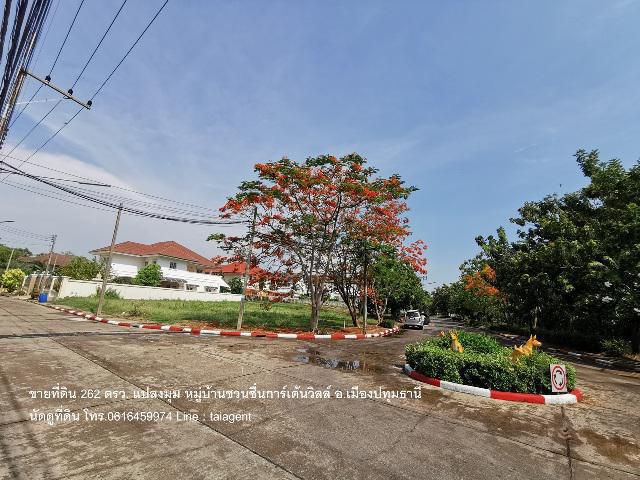 ขายที่ดิน เมืองปทุมธานี แปลงมุม ที่ดินจัดสรร หมู่บ้านชวนชื่นการ์เด้นวิลล์ จ.ปทุมธานี 262.1 ตรว.