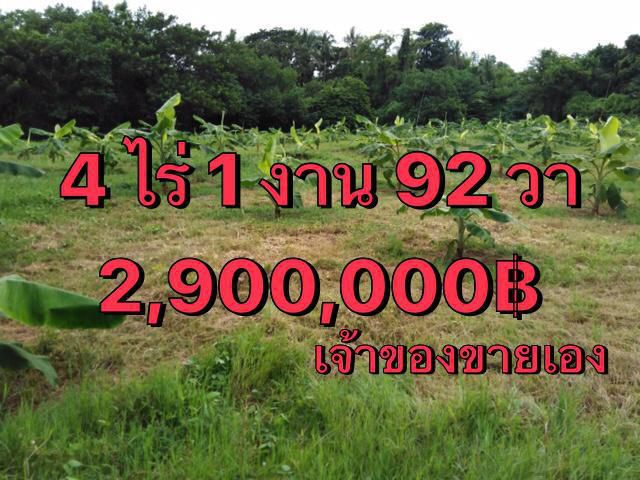 ขายที่ดิน4ไร่กว่าติดคลองชลประทาน(คลองพังพอน)บ้านปะโค หนองคาย