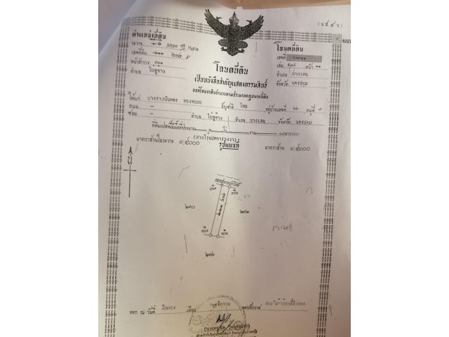 ขายที่ดิน 3แปลง รวมเนื้อที่ 9ไร่ 23ตรว.