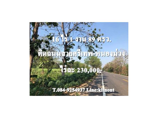 ที่ดินติดถนนหนองม่วง ศรีเทพ 16ไร่กว่า