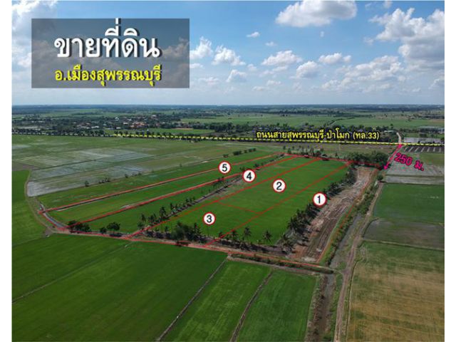 ขายที่ดิน ใกล้สายสุพรรณบุรี-ป่าโมก (ทล.33) ราคาถูก