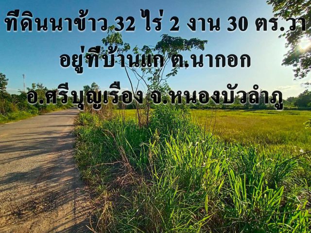 ที่ดินสวยราคาถูก อ.ศรีบุญเรือง จ.หนองบัวลำภู พื้นที่ 32 ไร่กว่า