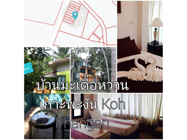 ที่ดิน สำหรับทำโครงการบ้าน หรือ รีสอร์ท วิวภูเขา