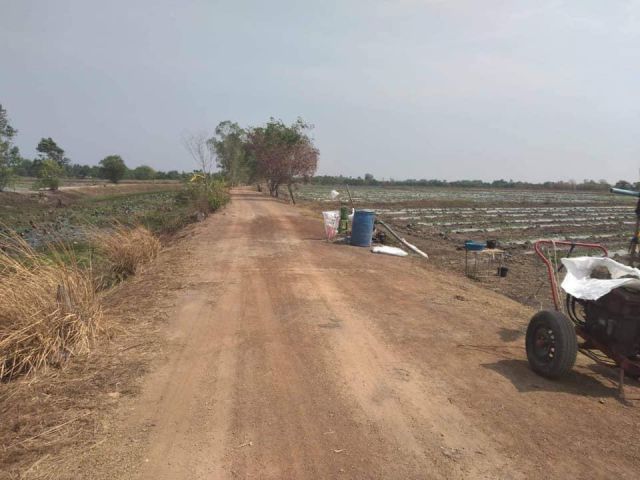 ที่นา 130 ไร่ ติดถนนติดคลอง ต.ท่าเรือ อ.ปากพลี นครนายก