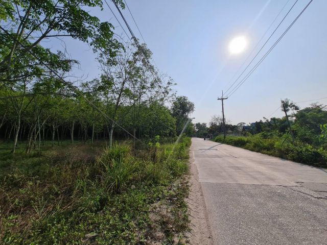 ที่ดินแปลงใหญ่ ราคาถูก ทำเลเยี่ยม Very Big Land Plot in Good Price, Great Location