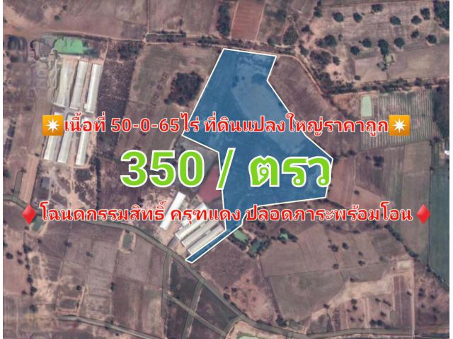 ที่ดินแปลงใหญ่สุพรรณบุรี 50 ไร่ ราคาถูก 140,000 / ไร่