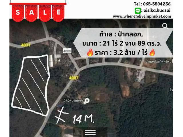 For Sales  Land Thalang, Paklok, 21 Rai