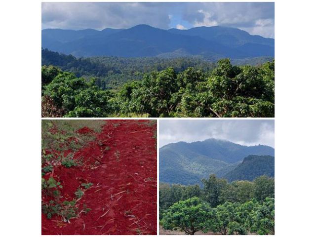 ขายที่ดิน เป็นดินแดง เป็นดินเหมือนดินนภูเขาไฟ ที่ใช้ปลูกทุเรียน วิวภูเขา ถ้าสร้างบ้านสวยๆเด่นมากติดถนน2ด้าน