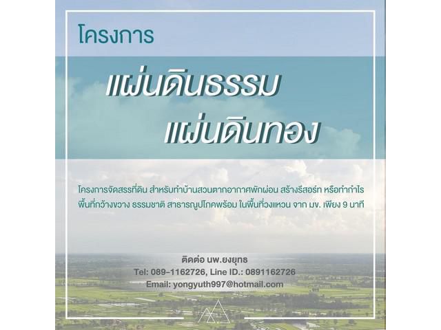 โครงการที่ดินแผ่นดินธรรม      แผ่นดินทอง