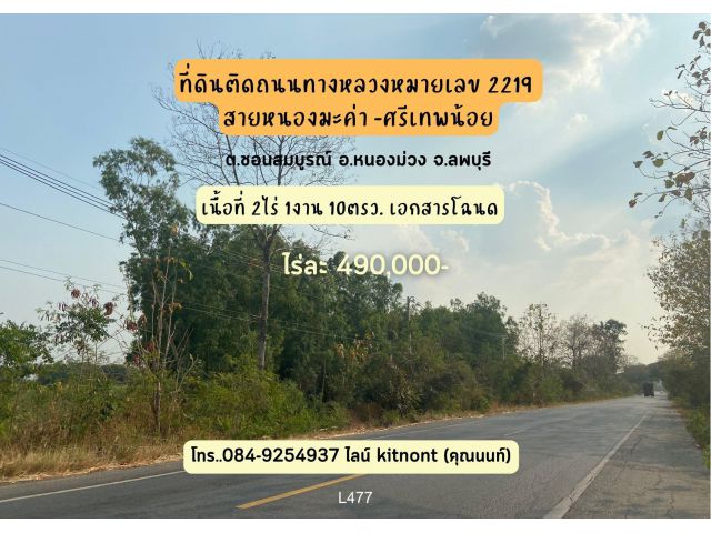 ขายที่ดินลพบุรี - ขายที่ดินหนองม่วง 2 ไร่ 1 งาน 10 ตรว.โฉนด ไร่ละ 490,000 บาท