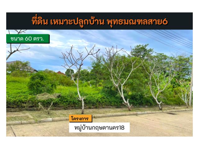 ที่ดินเปล่า เหมาะสำหรับปลูกบ้าน ️โครงการ หมู่บ้านกฤษดานคร 27 ️#พุทธมณฑลสาย6 191.5 ตรว. ขายต่ำกว่าราคาตลาด