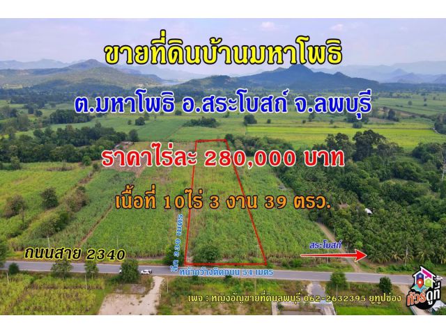 ขายที่ดินถนนสาย 2340 บ้านมหาโพธิ ต.มหาโพธิ อ.สระโบสถ์ จ.ลพบุรี เนื้อที่ 10 ไร่ 3 งาน 39 ตรว