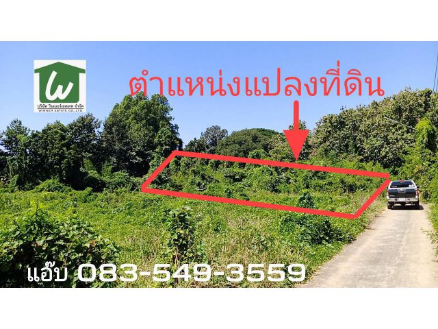 #ขายที่ดินกลางเมือง ต.แพรกศรีราชา อ.สรรคบุรี จ.ชัยนาท #เนื้อที่ 174ตรว. ( 696 ตรม.) #ขายราคาถูก 8.5แสน ฟรีโอน!!!  *รายละ