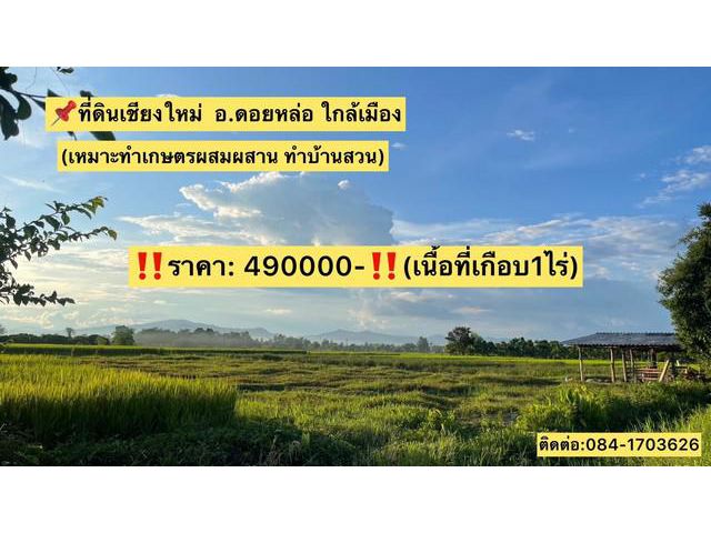 ขายที่ดินเชียงใหม่ เนื้อที่เกือบ1ไร่