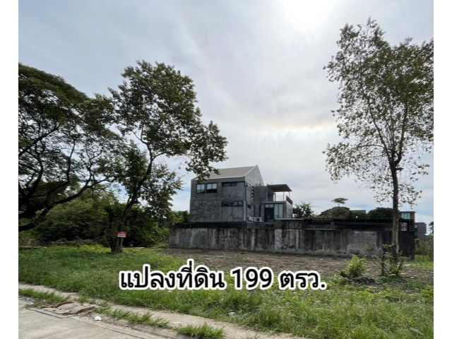 ขายที่ดินเปล่า หมู่บ้านพฤกษชาติ ซอยรามคำแหง118