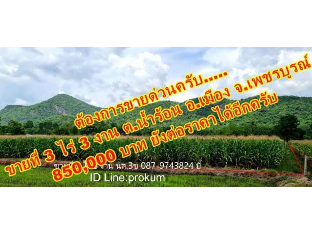 ขายที่ 3 ไร่ 3 งานกว่า 850,000 บาท อ.เมืาองเพชรบูรณ์