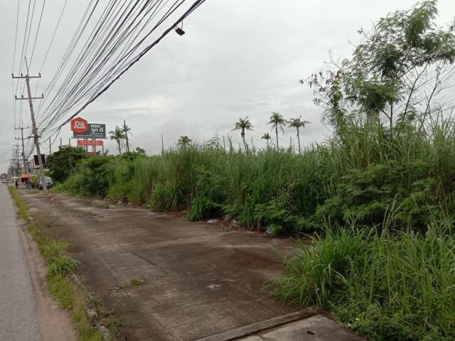 ที่ดินแหลมฉบังติดถนนสุขุมวิท ที่สวยแปลงใหญ่