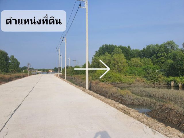 ขายที่ติดคลองบางตานิ่ม 1-2-71ไร่ ยกแปลง 6.5แสน