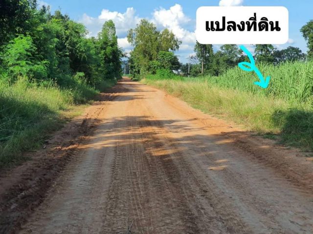 ขายที่ดิน 7-1-74 ไร่ ติดถนนสาธารณประโยชน์ ต.สระโบสถ์ อ.สระโบสถ์ ลพบุรี