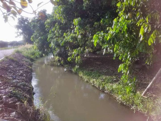 ขายที่ดินหน้าติดถนนมีลำน้ำไหลผ่านน้ำไฟพร้อมโอน