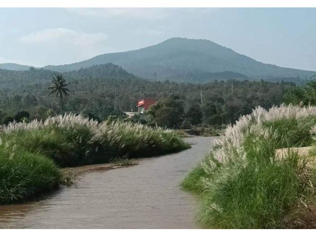 ขายสวนลำใยติดแม่น้ำติดภูเขาบ้านแปะจอมทองพร้อมโอน