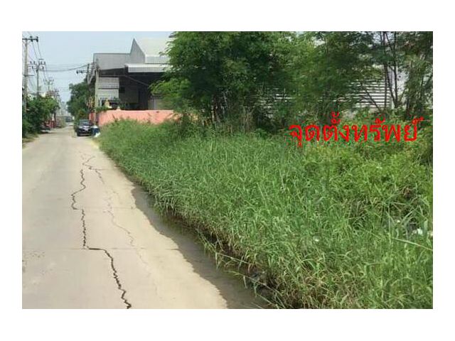 ขายที่ดินใกล้ถนนบางพลี-ตำหรุ