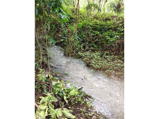 ขายที่นาพร้อมสวนลำใยติดลำเหมืองลำธารบ้านแปะจอมทองพร้อมโอน