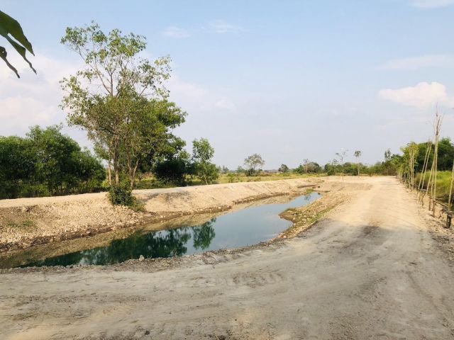 ขายที่ดิน คลอง 15 องครักษ์ (ถนนตลาดค้าขายต้นไม้ )