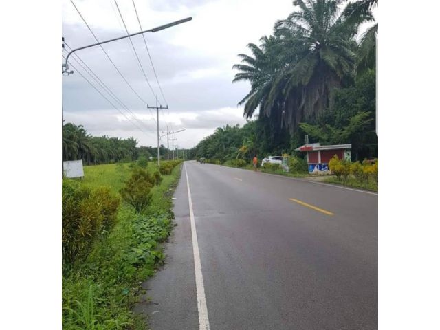 ด่วน ขายที่ดินเปล่า แถวแยกพรุพี ทรายขาว คลองท่อม หมู่ 7 จำนวน 4 ห้อง (150ตรว)