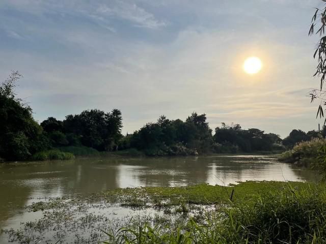 ขายด่วนจังหวัดพระนครศรีอยุธยา