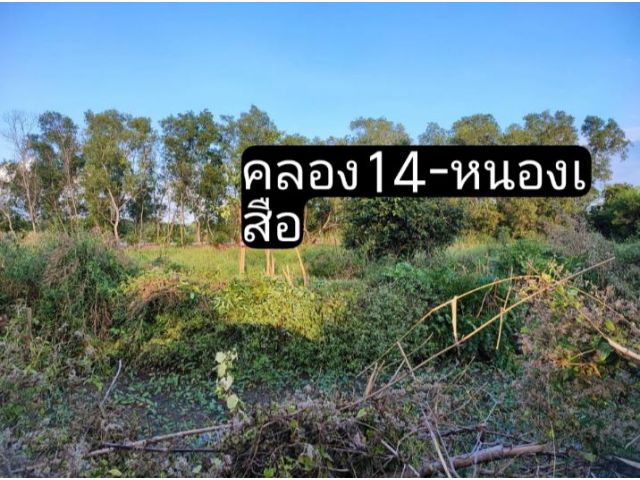 ที่ดินสวย บรรยากาศดี 1ไร่ หนองเสือ-คลอง14