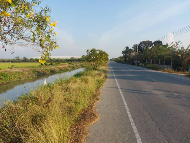 ที่ดินพร้อมสวนปาล์ม  5 ไร่  อ.ศรีประจันต์  จ.สุพรรณบุรี บรรยากาศดีสุดๆ