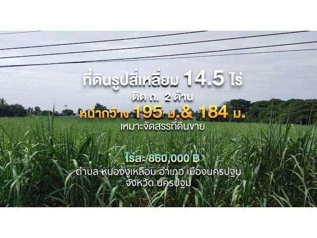 ที่ดินรูปสี่เหลี่ยม(แปลงหัวมุม) 14.5 ไร่ ๆ ละ 860,000 บาท ติด ถ. 2 ด้าน หน้ากว้าง 195 ม. & 185 ม. เหมาะจัดสรรที่ดินขาย หรืออื่น ๆ