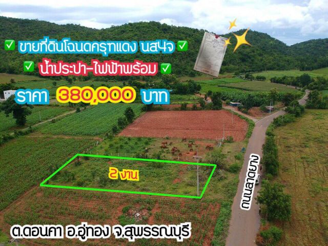 ขายที่ดินโฉนดติดถนนลาดยางติดวิวภูเขาสวยๆ