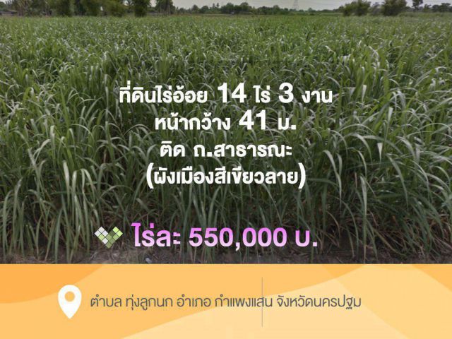 ที่ดินไร่อ้อย 14 ไร่ 3 งาน ไร่ละ  550,000  บ.หน้ากว้าง 41  ม.ติด ถ.สาธารณะ (ผังเมืองสีเขียวลาย)    