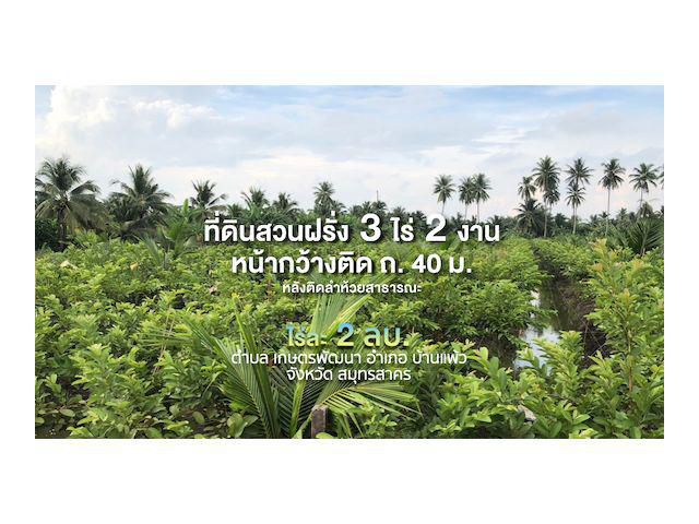 ที่ดินสวนฝรั่งรูปสี่เหลี่ยม 3 ไร่ 2 งาน หน้ากว้าง 40 ม. ติด ถ.สาธารณะ หลังติดลำรางสาธารณะ      