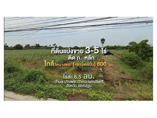 ที่ดินแบ่งขาย 3-5 ไร่ ติด ถ.หลัก ใกล้วัดบางพระ (หลวงพ่อเปิ่น) 600 ม.    