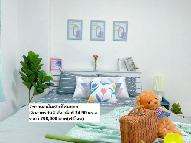 #ขายคอนโดเชียงใหม่nnn เอื้ออาทรสันผีเสื้อ เนื้อที่ 34.90 ตร.ม (ฟรีโอน)