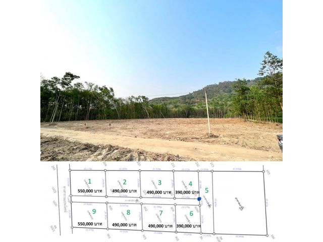 ที่ดินแบ่งขายติดถนนสาธารณะ ไฟฟ้าประปาเข้าถึง หนองบัว ระยอง 150-200 ตรว.เริ่มต้น 390,000 บาท