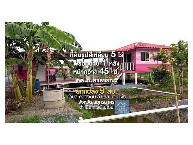 ที่ดินรูปสี่เหลี่ยม 5 ไร่ พร้อมบ้าน 1 หลัง หน้ากว้าง 45 ม.ติด ถ.สาธารณะ ใกล้วัดสวนส้ม 2.3 กม.