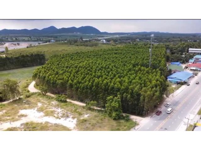 ขายที่ดินแปลงใหญ่ จังหวัดระยอง Large Land For Sale (Near U-Tapao international airport)