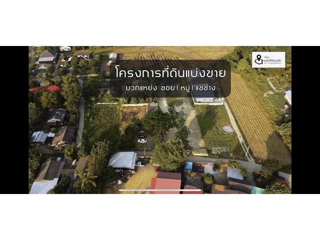 ที่ดินเปล่าสันกำแพงเชียงใหม่