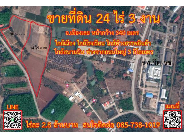 ขายที่ดิน 24 ไร่ อ.เมือง จ.เลย