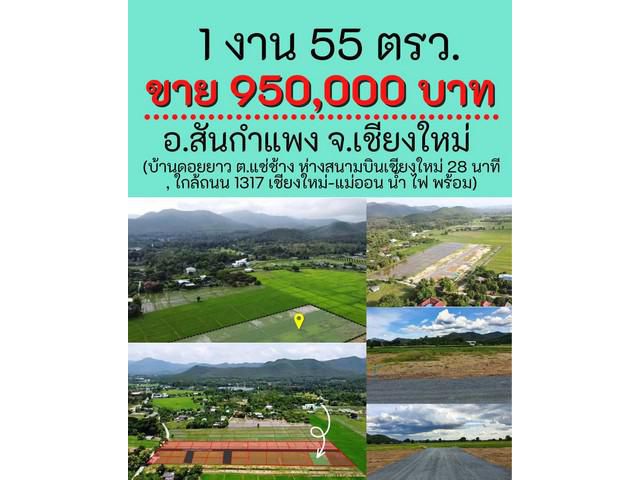 ที่ดินเชียงใหม่ สันกำแพง วิวดอย 155 ตรว ขายเพียง 950,000 บาท ฟรีโ