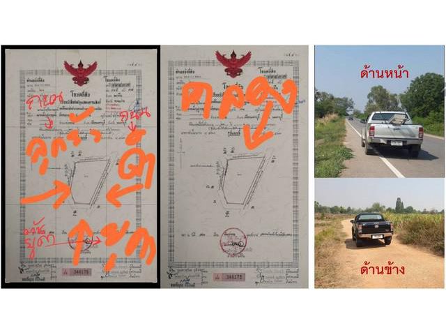 ขายที่ดินติดถนนดำ ขนาด 31 ไร่ อำเภอพระยืน จังหวัดขอนแก่น