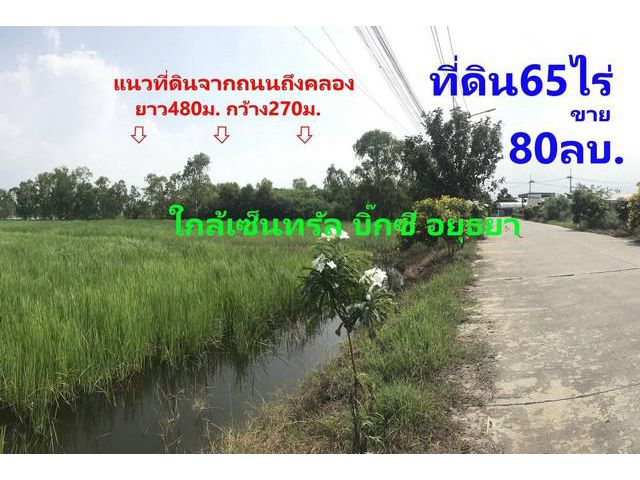 ขายที่ดิน 65ไร่ ต.บ้านกรด  อ.บางปะอิน จ.อยุธยา