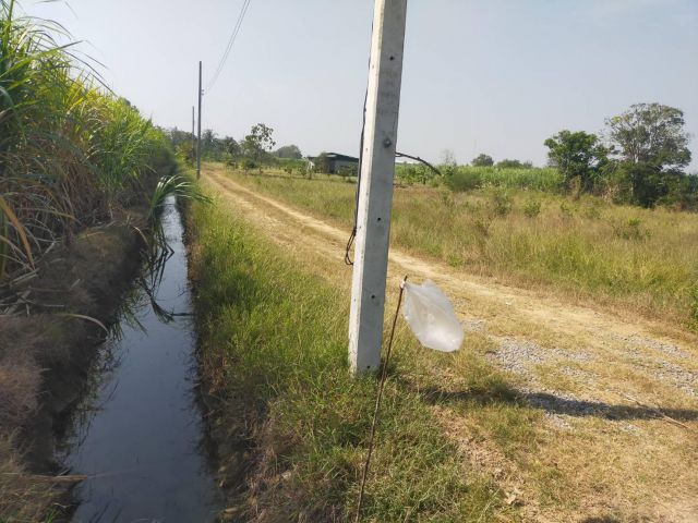 ขายที่ดิน แปลงสวย 238ตรว.เหมา280000-ต.ดอนมะนาว อ.สองพี่น้อง จ.สุพรรฯเหมาะทำบ้านพัก/สวน.ใก้ลถนน321/3020น้ำไม่ท่วม