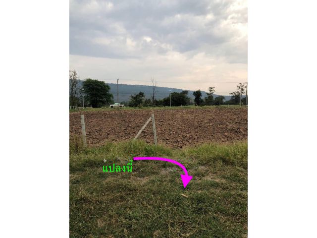 Khao Yai Land for sale  Wang Sai Subdistrict, Pak Chong , ขายที่ดินเขาใหญ่แบ่งแปลง เล็ก เริ่มต้น 200 วา ถึง 7 ไร่ ผ่อนได้