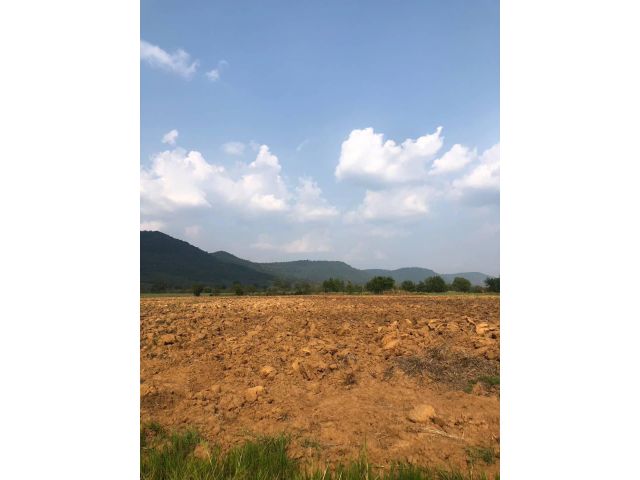 Khao Yai land for sale 10 rai , The best  view, Wang Sai Subdistrict, Pak Chong ขายที่ดินเขาใหญ่ถูกมาก 10 ไร่ วิวสวย ต.วังไทร